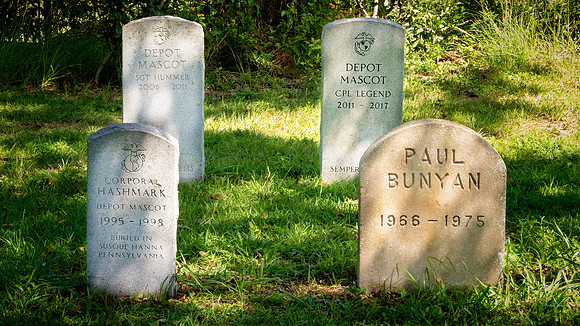 Mascot Cemetery
