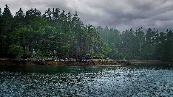 Dogfish Cove - 1991