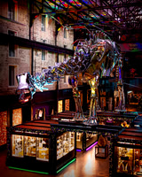 Dinosaur