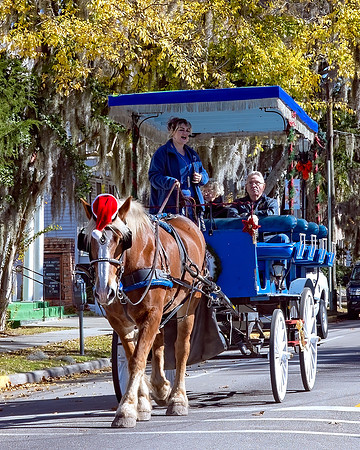 Southern Living Carriage Tour