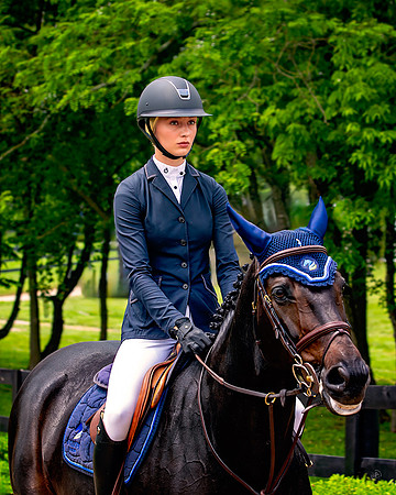 Swedish Rider