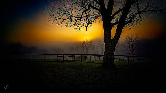 Sunrise on a Frosty Morning