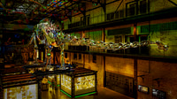 Dinosaur