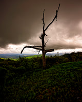 Skyline Drive, Shenandoah, NP