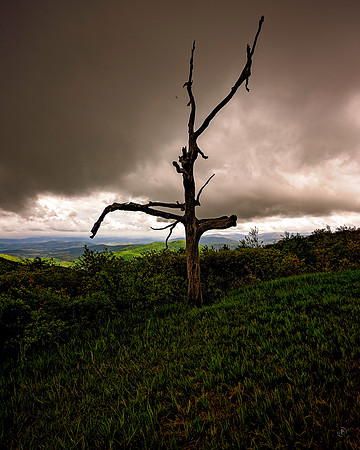 Skyline Drive, Shenandoah, NP