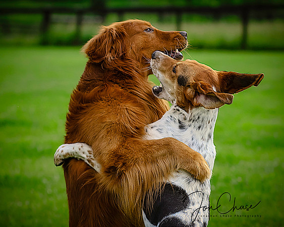 Cane & Ike