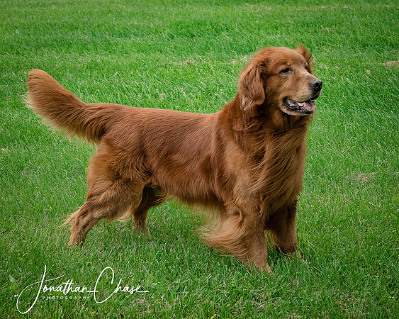 In Loving Memory - 12 14 2006 - 09 23 2015