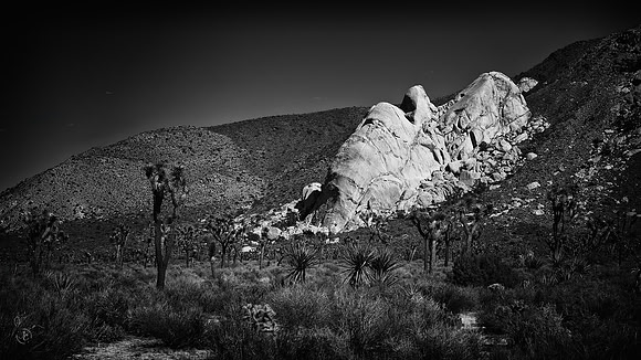 Saddle Rocks, Joshua Tree National Park