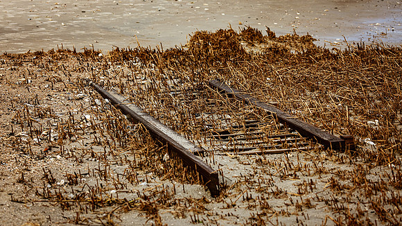 Fish Haul Beach - Storm Debris