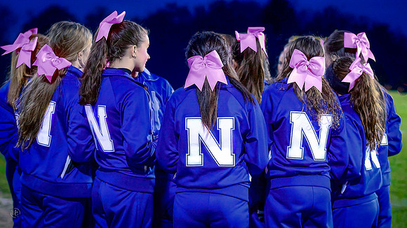 Pink Bows
