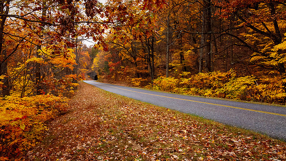 Blue Ridge Parkway 2022