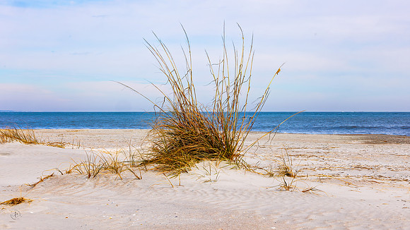 Hunting Island Beach - 2 2 2024