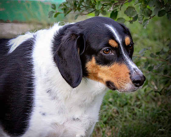 Lucky - 10 05 2012