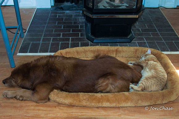 Cane & Roscoe