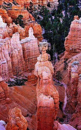 Hoodoo - Bryce Canyon NP