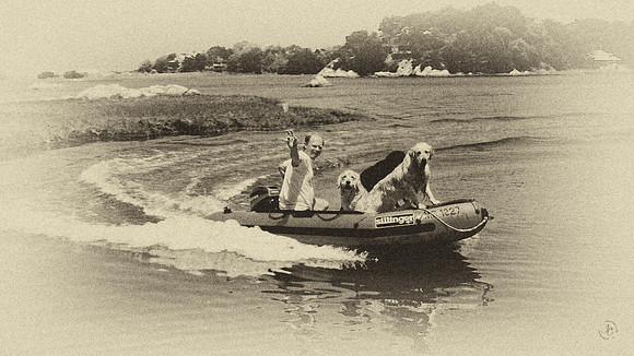 Little Harbor - 1991