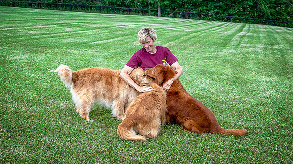 KEC w Goldens