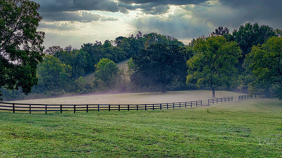 Stormy Weather