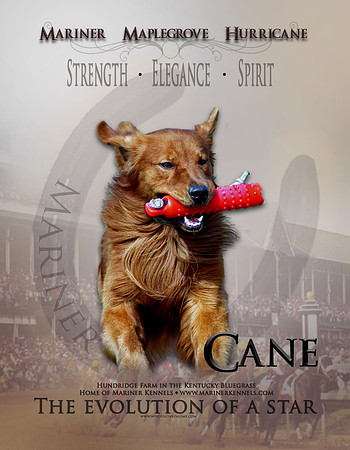 Cane