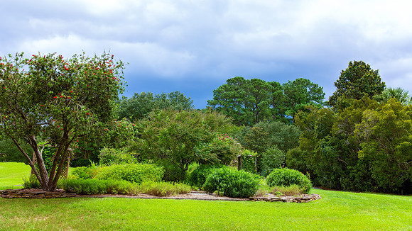 Butterfly Garden - 2327 (1 of 1)