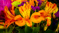 St Martin's Lily
