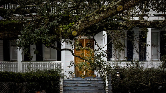 Christmas Door