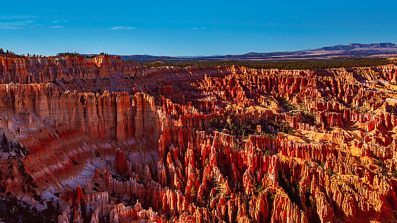 Bryce Canyon Hoodoos