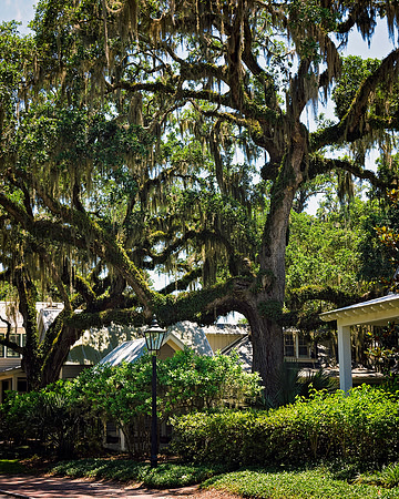 Palmetto Bluff
