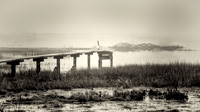 Foggy Winter Morning - 1991