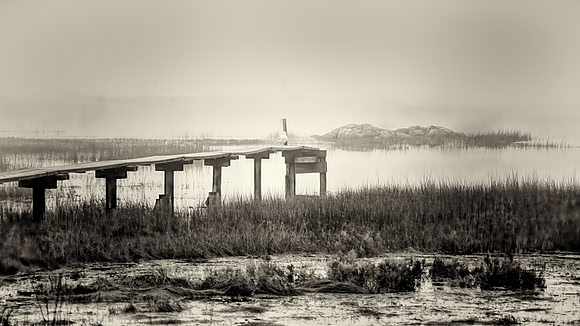 Foggy Winter Morning - 1991