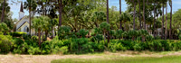 Palmetto Bluff - 3 image Pano