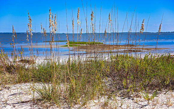 Fish Haul Beach -  9 24 2022