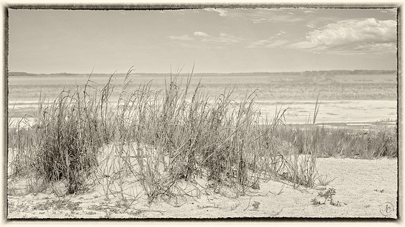 Fish Haul Beach - 8 12 2022