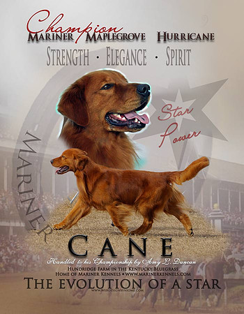 Champion Cane
