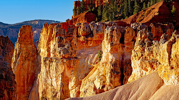 Lone Pine 2 - Bryce Canyon NP