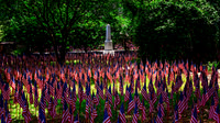 Flags for the Fallen  - 2 - 7027 - 5 26 2024