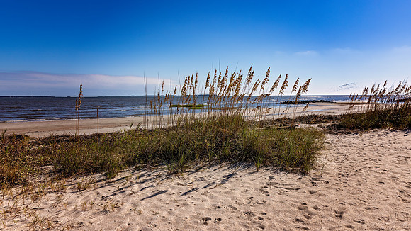 Fish Haul Beach - 10 2 2022