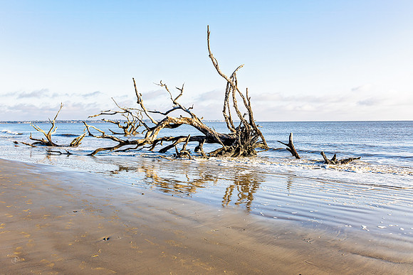 Driftwood Beach - 12 20 2024