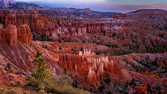 Bryce_