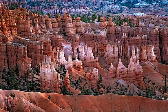 Early Morning Light - Bryce Canyon NP