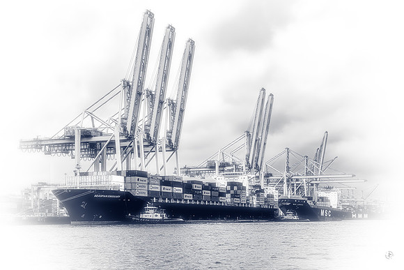 Container Dock in BW