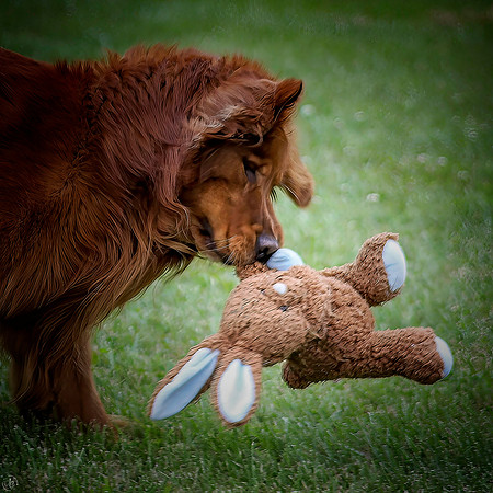 Cane & his baby- 6 02 2012