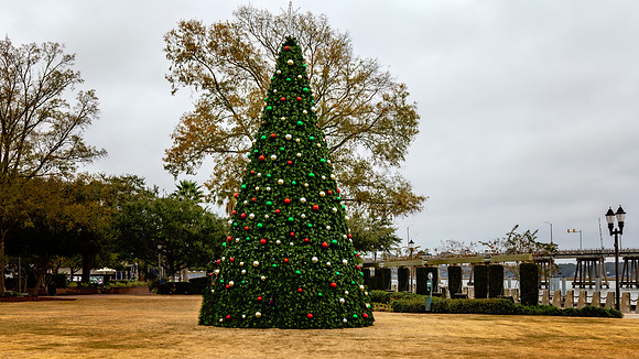 Christmas Tree