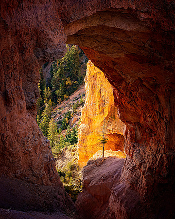 Lone Pine - Bryce Canyon NP