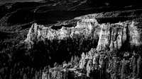 Pillars of Light - Bryce Canyon