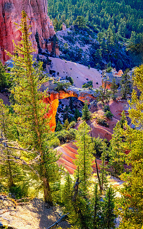 Arch - Bryce Canyon NP