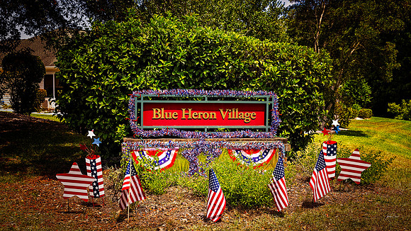 Blue Heron - 7 4 2022 (
