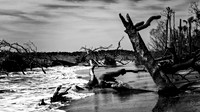 Boneyard Beach - 8 15 2022