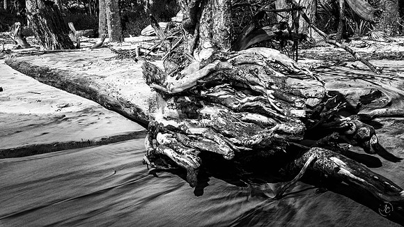 Boneyard Beach - 8 15 2022