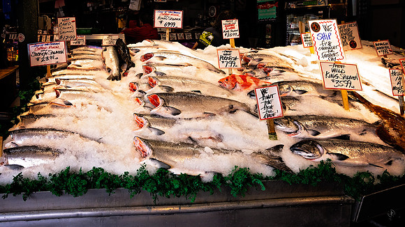 Pike Place Market - Salmon for sale - 6 11 2025-